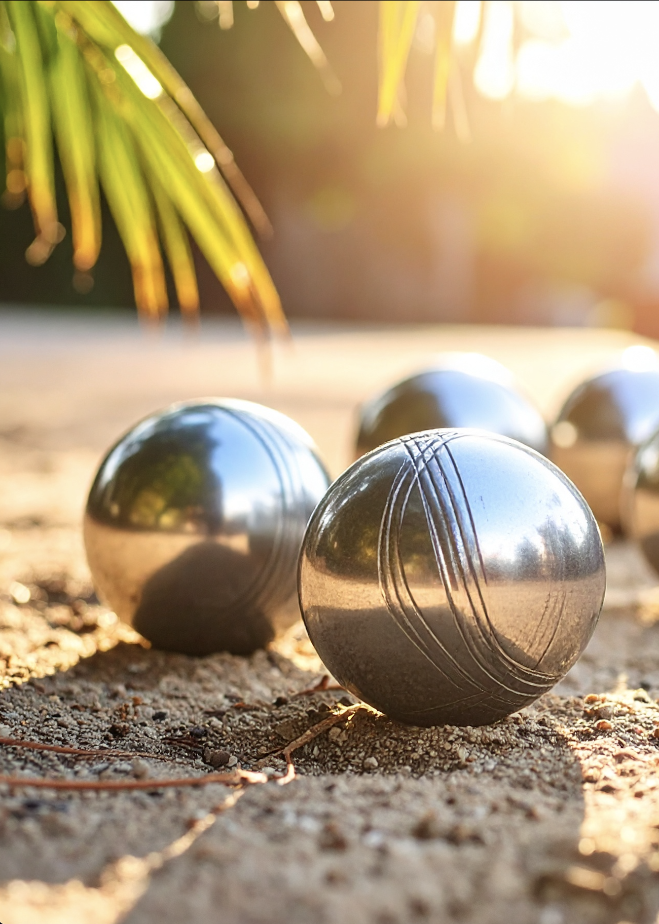 Terrain de Pétanque et Molkky Terrain de Pétanque et Molkky